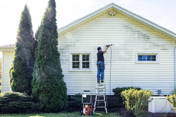 Trusted Kahaluu, HI Pressure Washing Experts